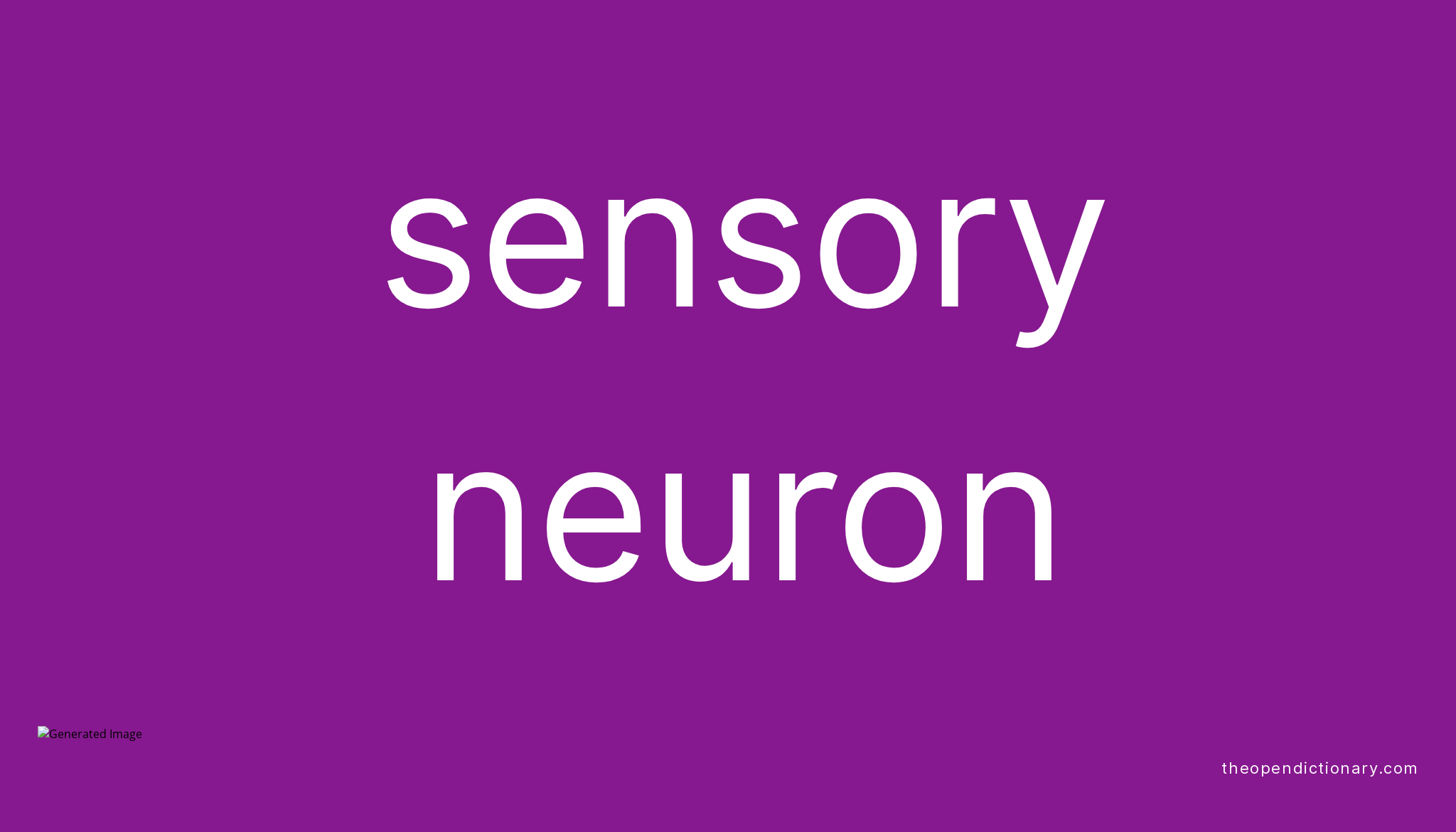 sensory-neuron-meaning-of-sensory-neuron-definition-of-sensory